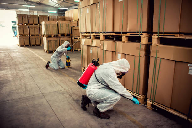 Best Wasp Removal Services  in Atlantic Beach, NC