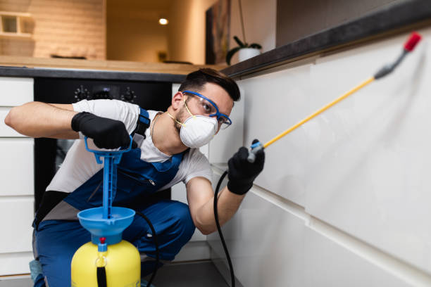 Pest Prevention Services in Atlantic Beach, NC