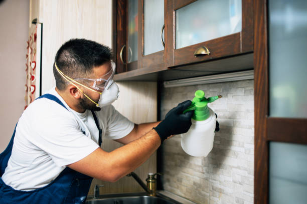 Best Pest Control Near Me in Atlantic Beach, NC
