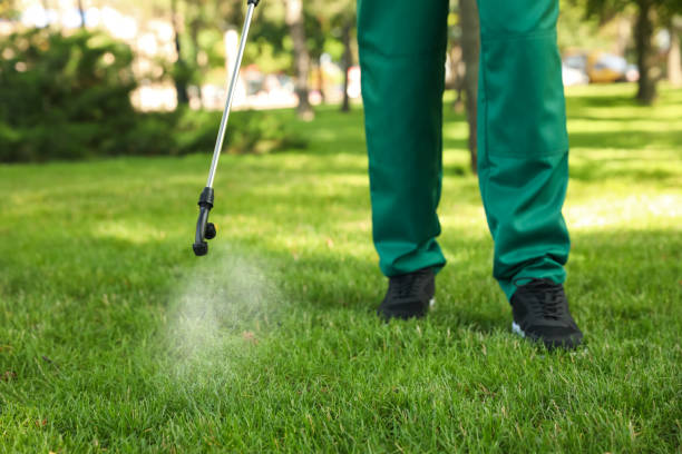 Best Local Pest Control Services  in Atlantic Beach, NC