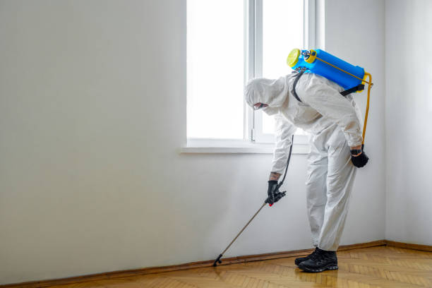 Best Affordable Pest Control Services  in Atlantic Beach, NC