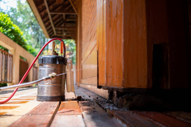 Best Ant Control Services  in Atlantic Beach, NC