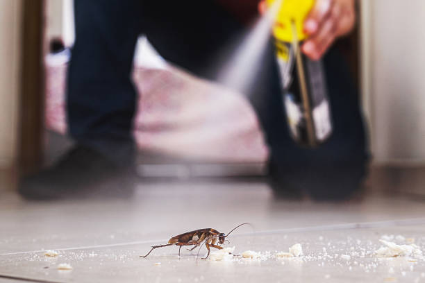 Best Pest Removal Services  in Atlantic Beach, NC
