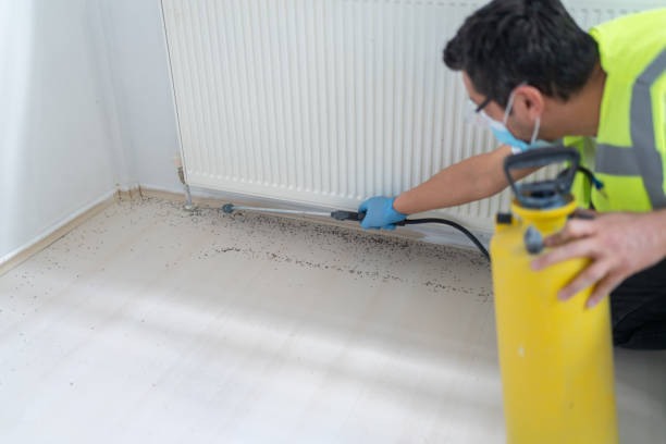 Pest Prevention Services in Atlantic Beach, NC