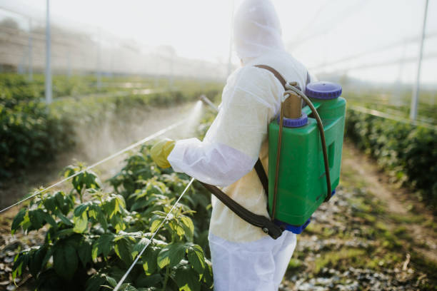 Best Bed Bug Extermination  in Atlantic Beach, NC